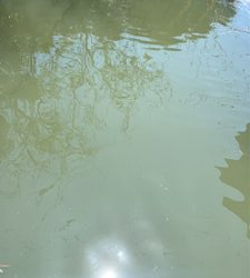 海は何も釣れないので用水路にてカープフィッシング！