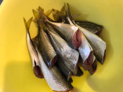 ファミリーフィッシング