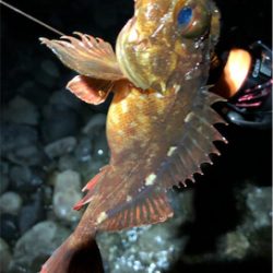 とある深夜のライトロック