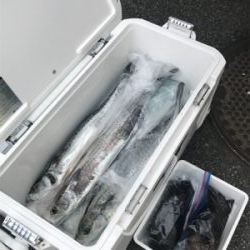 初、春エギング