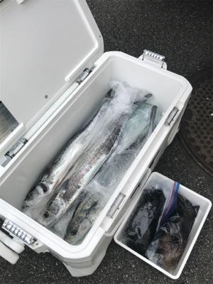 初、春エギング