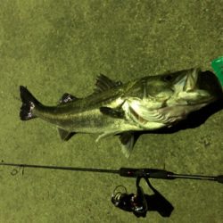 メバリング中のハプニング