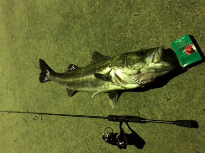 メバリング中のハプニング