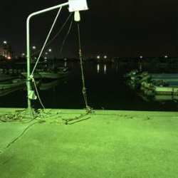 アジングのつもりで