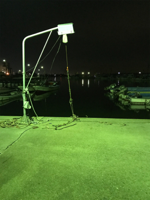 アジングのつもりで