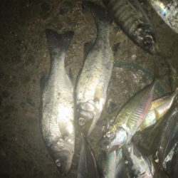 大漁！楽しい1日