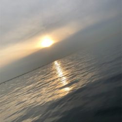 穏やかな春の陽射し