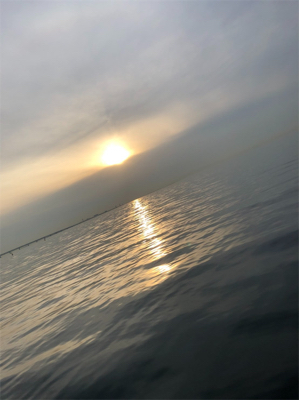 穏やかな春の陽射し