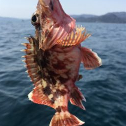 マイボートでタイラバ、ジギング釣行