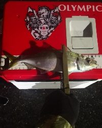 アジング 練習 129