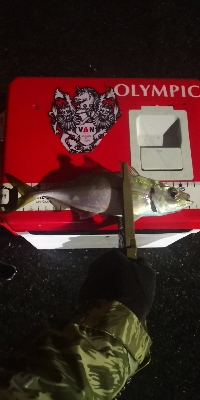 アジング 練習 129