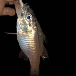 久しぶりの持ち帰り