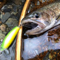 新規開拓の続き