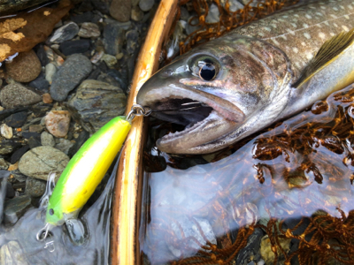 新規開拓の続き