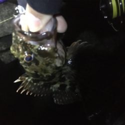 ガシラッシュ笑