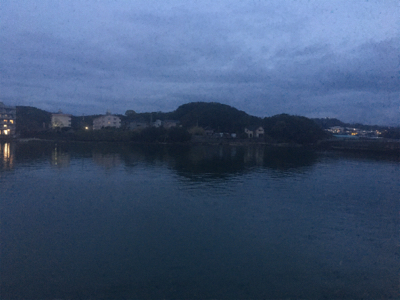 今日もアジいっぱい！