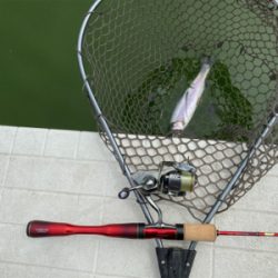 服部緑地　貸し切り状態