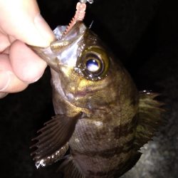 ナイトメバリング