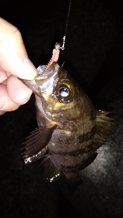 ナイトメバリング