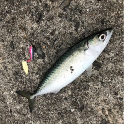 マイクロパターン