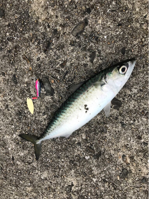 マイクロパターン