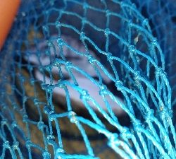 2/29釣果チヌ2枚マリーナシティずっと雨…