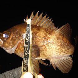 神戸ボートメバリングにて