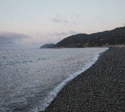 マイクロベイト対応できず。