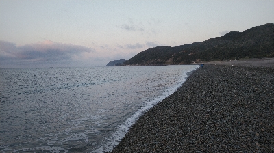 マイクロベイト対応できず。