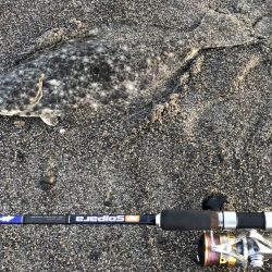 初サーフで良型のヒラメ