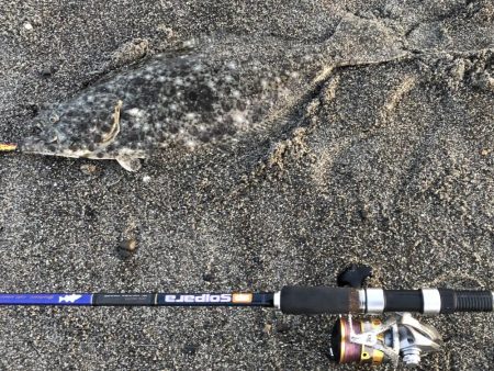 初サーフで良型のヒラメ