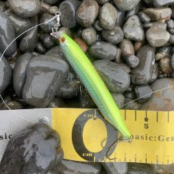 長潮でも釣れました。