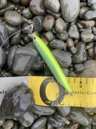 長潮でも釣れました。