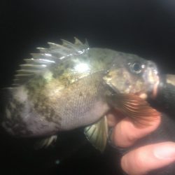 ホンマついてない…