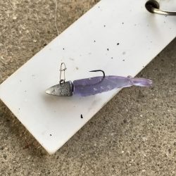 3月24日キビレゲーム