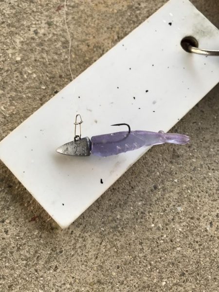 3月24日キビレゲーム