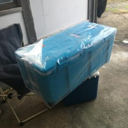 青物いなくなったし