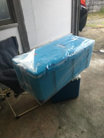 青物いなくなったし