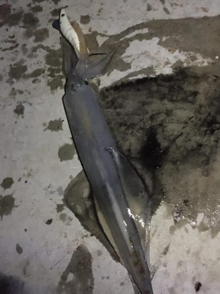 ラストチャンス