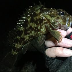 次こそ本気出す！！