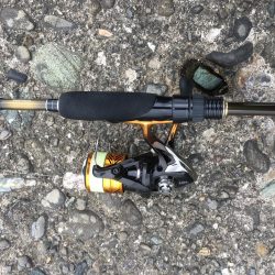 偶然にも出会えました