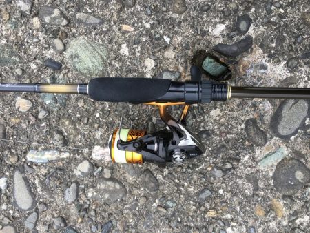 偶然にも出会えました