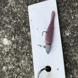 3月28日キビレゲーム