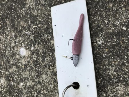 3月28日キビレゲーム