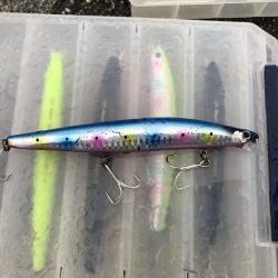 シーバス狙いでシーバス