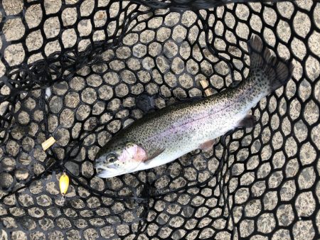 初めての管理釣り場