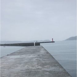 フラットフィッシュ狙い