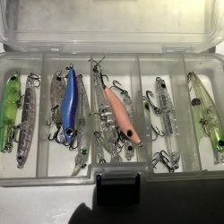 しぶしぶメバリング