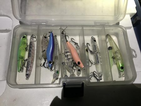 しぶしぶメバリング