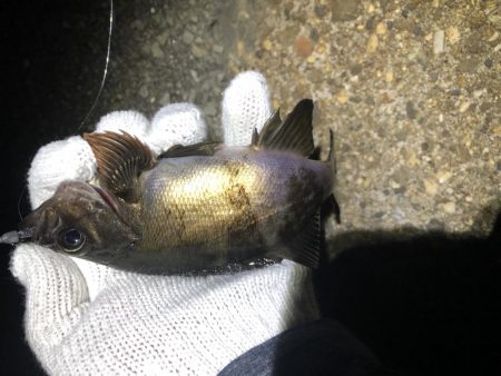 友達とメバリング